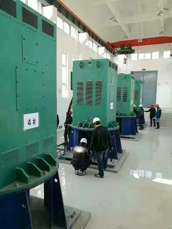 横林镇某污水处理厂使用我厂的立式高压电机安装现场